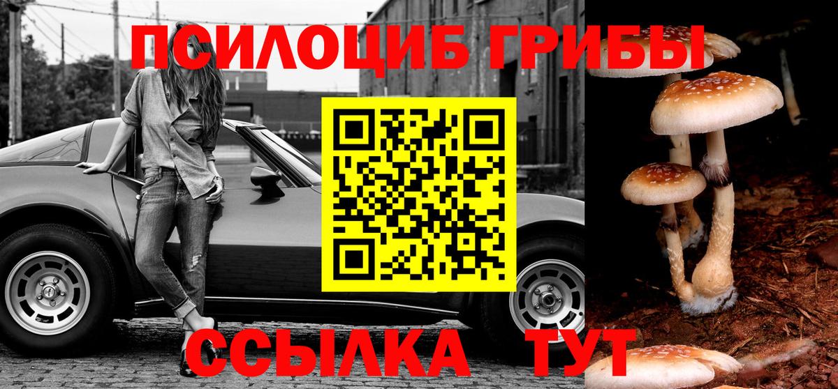 Киселёвск  Псилоцибиновые грибы ЛСД  Псилоцибиновые грибы прущие грибы  Вход с VPN 