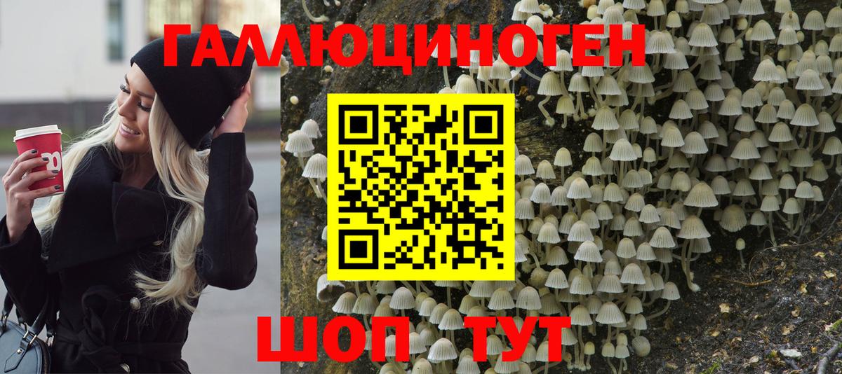 Галлюциногенные грибы MAGIC MUSHROOMS Киселёвск